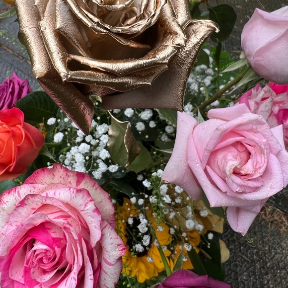 Meet your Posher, litchi - Picture 1 of 1